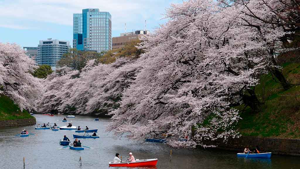Tóquio: melhor época para viajar