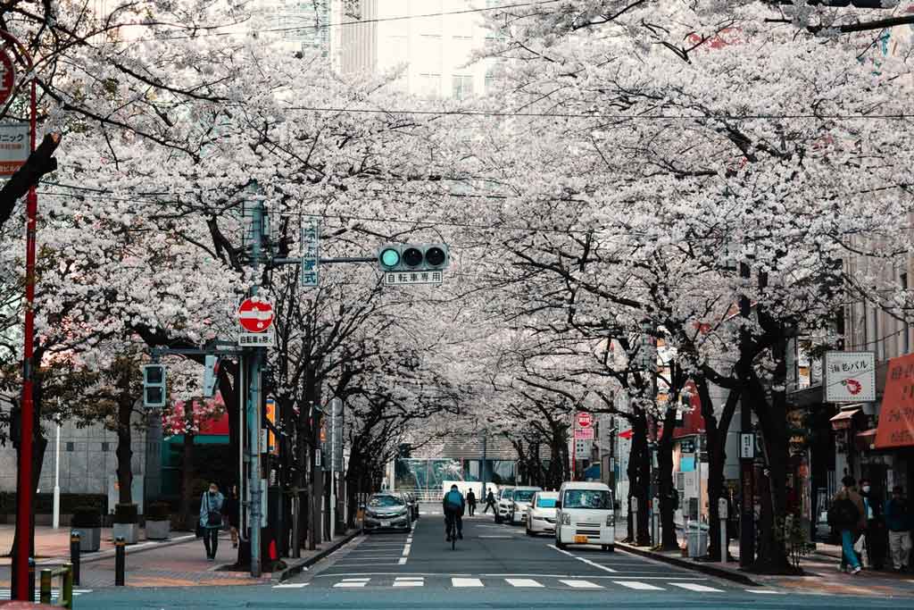 Tóquio: curiosidades