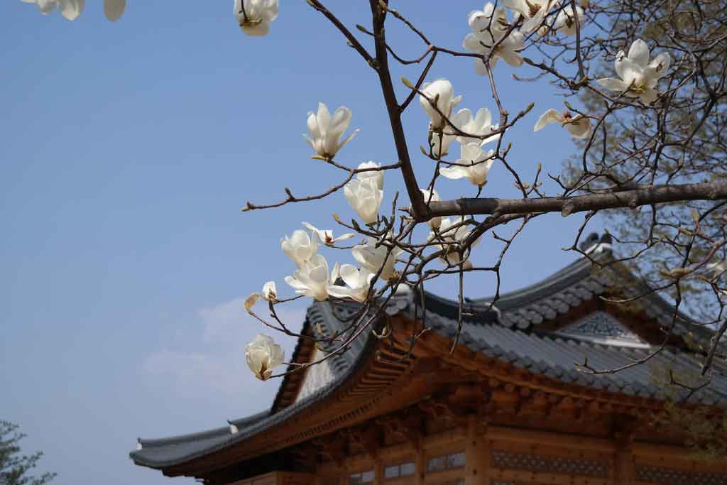 Parques da coreia do sul Seoul Children's grand park