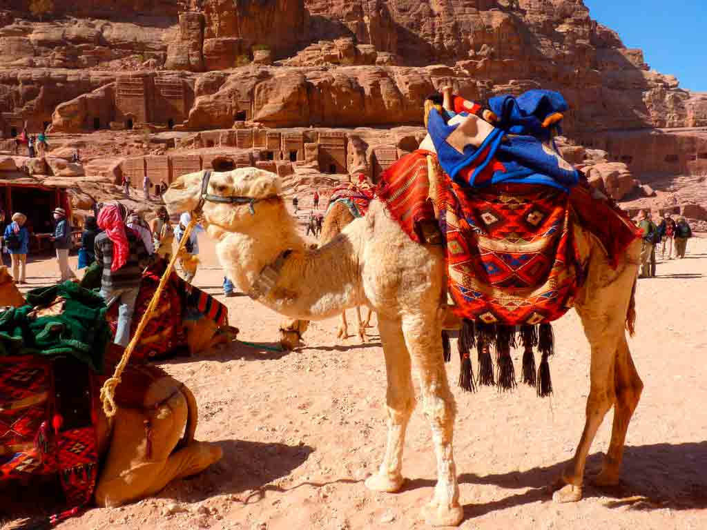 Petra, Jordânia: 9 lugares imperdíveis na cidade rosa