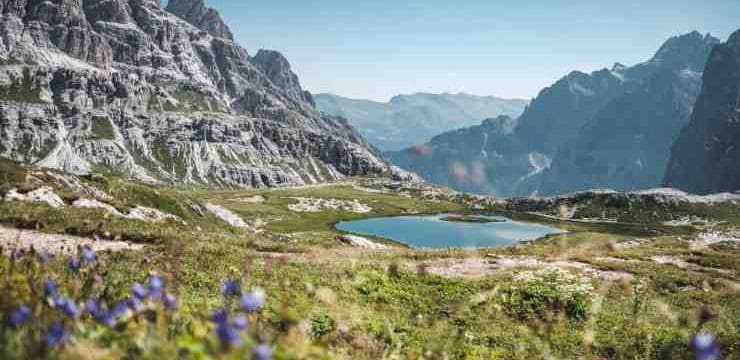 Roteiro Alpes Suíços: veja curiosidades, dicas de viagem e passeios ...