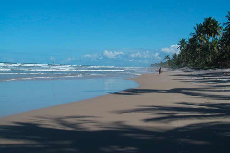 Qual melhor época para conhecer praias da Bahia?