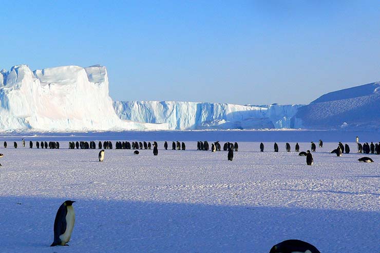 Por que a Antártida é considerada um continente?