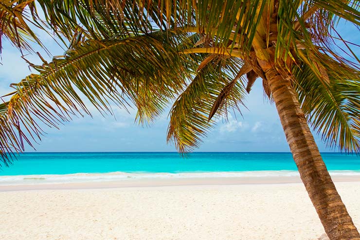 Quais são as características do litoral caribenho?
