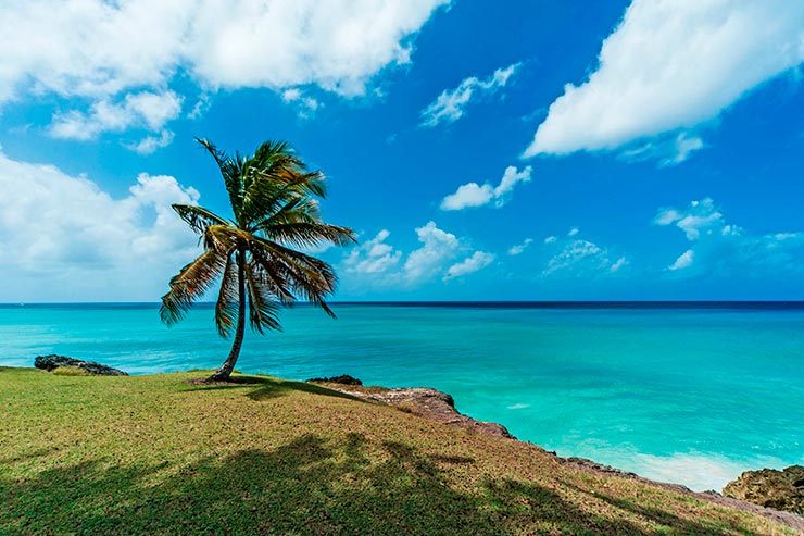 Ilha de Barbados: descubra o que fazer durante a sua viagem