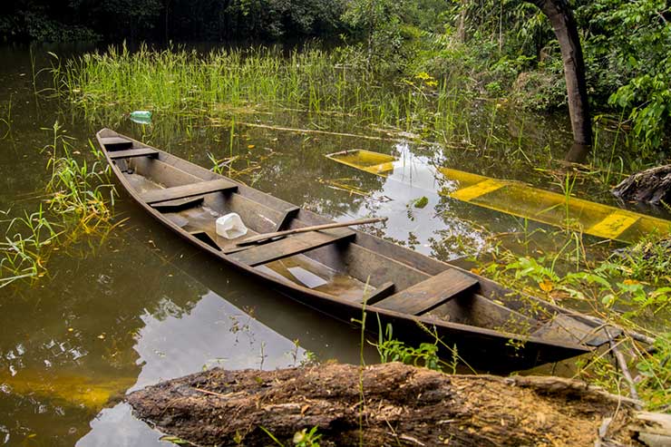 Como fazer turismo na Amazônia?