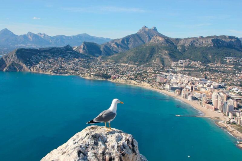 Alicante: conheça as praias da cidade portuária!
