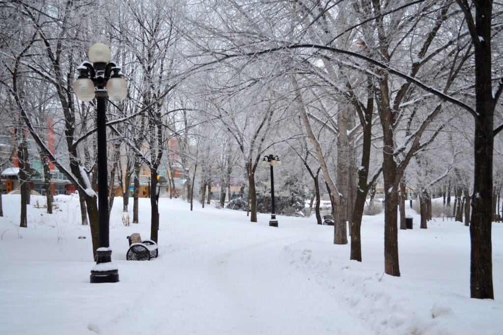 Winnipeg: o que fazer na cidade mais fria do Canadá?