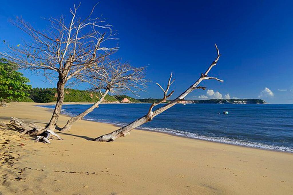 Praia-do-Satu,-Caraíva