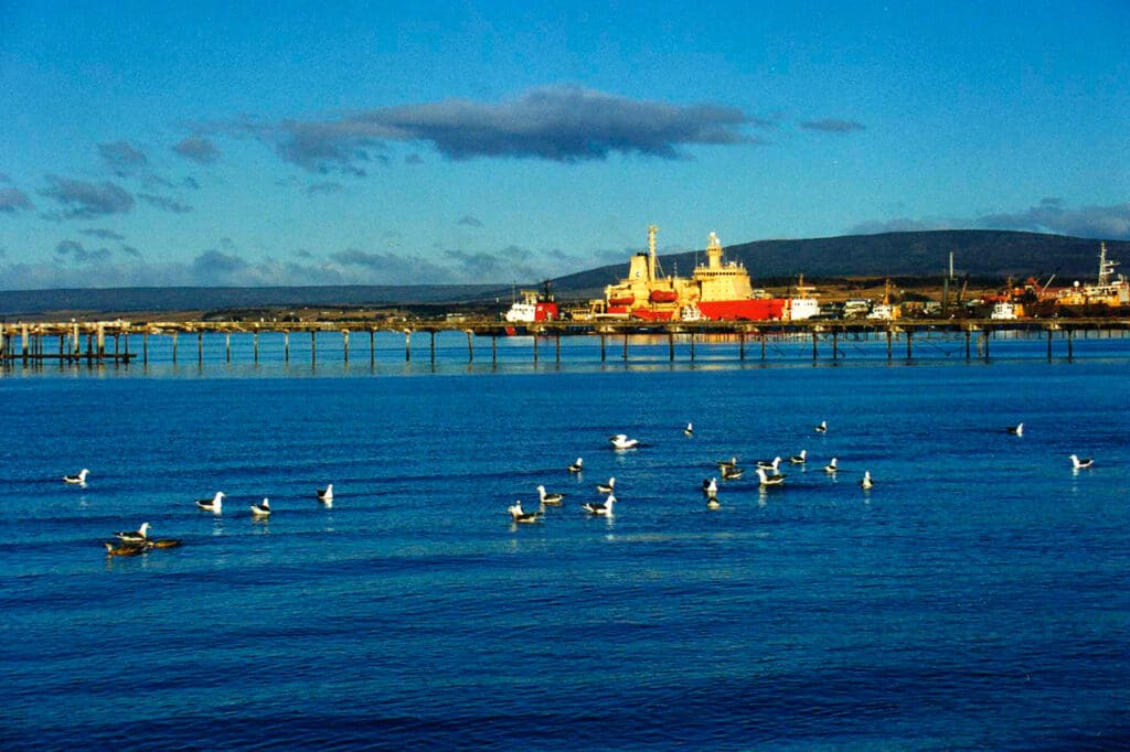 Punta Arenas: conheça os principais pontos turísticos da região!